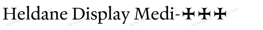 Heldane Display Medi字体转换
